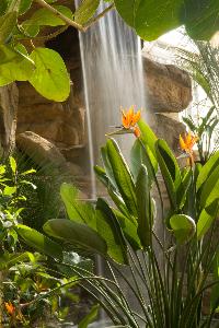 RHS Garden Wisley